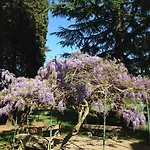 La Valeriana Farm Διαμέρισμα *