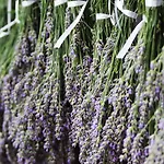 Διαμέρισμα La Valeriana Farm