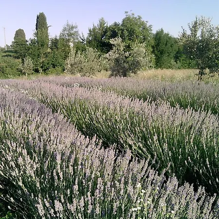 La Valeriana Farm *