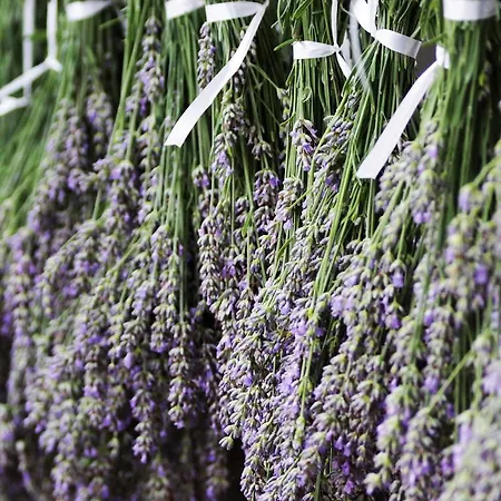 Appartement La Valeriana Farm